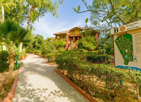 Hôtel Les Bougainvillées 3* - 10