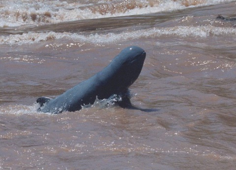 Circuit Cambodge authentique - 8