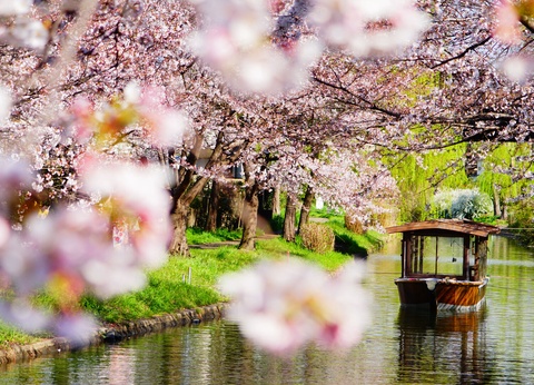 Grande boucle japonaise - Long circuit individuel en 3* - 11