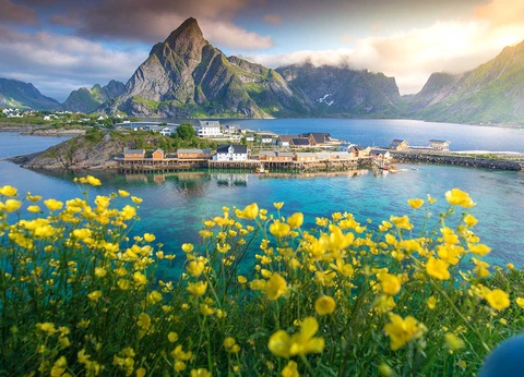 Circuit Îles Lofoten, fjords et baleines - 3