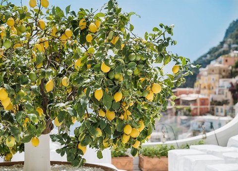 Autotour l'Essentiel de la Côte Amalfitaine 4 6N - 9