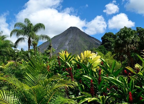 Circuit Immersion au Costa Rica et Extension Playa Tambor - 14