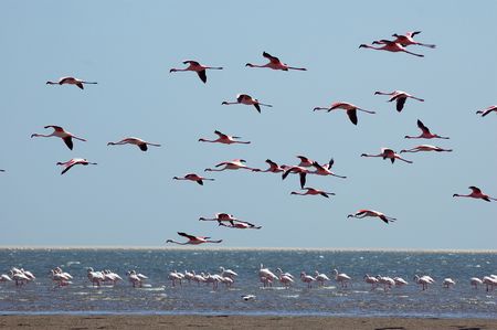 Splendeurs de Namibie & extension Fish River Canyon 14J/11N - 2025 - 15