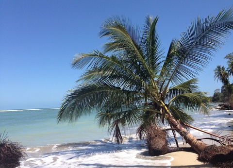 Circuit entre Jungles et Forêts du Costa Rica + extension Playa Samara - 36