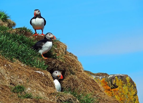 Circuit Merveilles d'Islande en Eté - 12J/11N - 2026 - 6