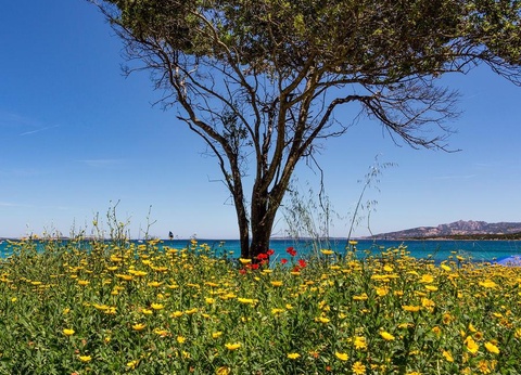 Camping Capo d'Orso, 3* - 47