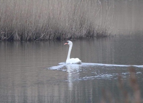 Damona Lodges, 3* - 16