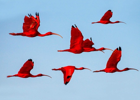 Circuit Privatif Rio & les Mystères du Nord-Est - 14