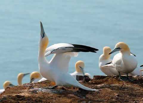 Splendeurs du Canada & Gaspésie 15J/13N - 2026 - 15