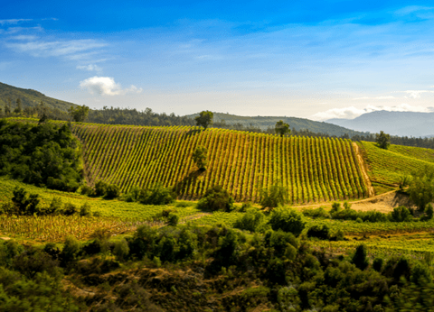 Circuit Contrastes Chiliens : Patagonie, Atacama et Île de Pâques - 10