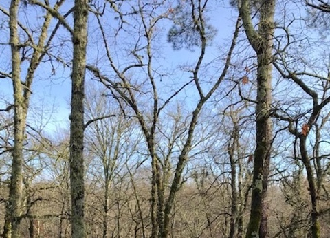 Camping Val de l'Eyre, 4* - 18