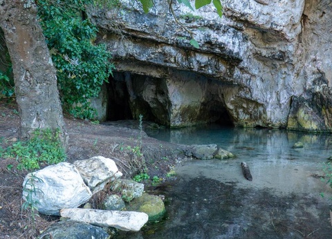 Villaggio Camping Capo Vieste, 3* - 65