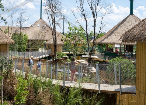 A la découverte du Zoo de Beauval - 3* - 22