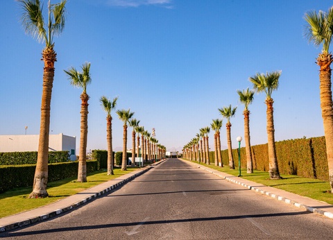 Hôtel Mercure Hurghada 4* - 11