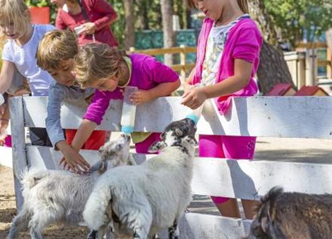 Camping Maeva Escapades La Clairière, 4* - 18