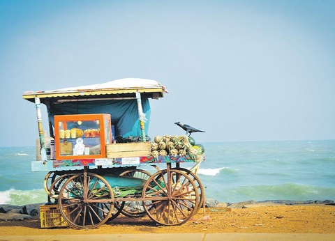 Circuit Comptoirs des Indes, Magie de l'Inde du Sud - 8