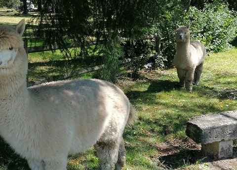 Camping Aux Portes Des Mille Sources, 3* - 4