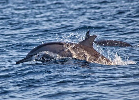 Circuit Odyssée de Java à Bali et Plage - 11