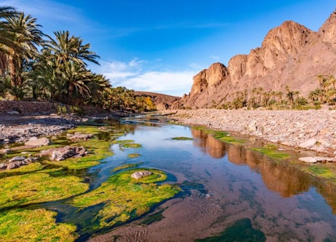 Circuit Ouarzazate la Vallée du dra & extension Cub Eldorador Kenzi Agdal Medina 5* - 10
