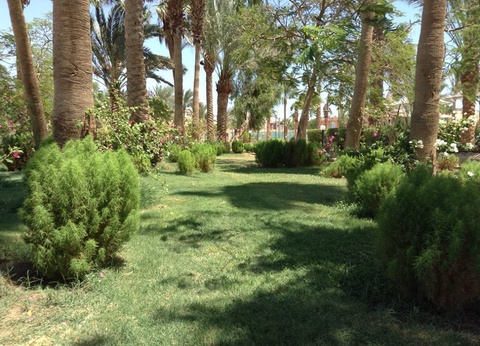 Hôtel Giftun Azur Resort 3* - 2