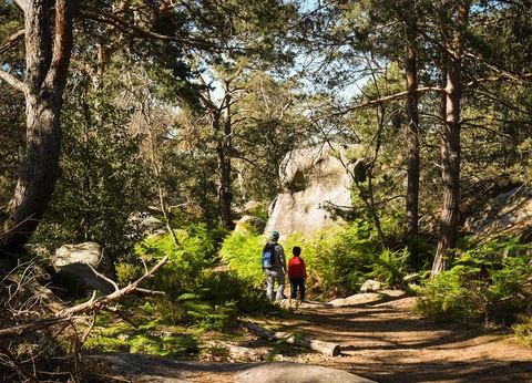 Camping Le Parc des Roches, 3* - 39