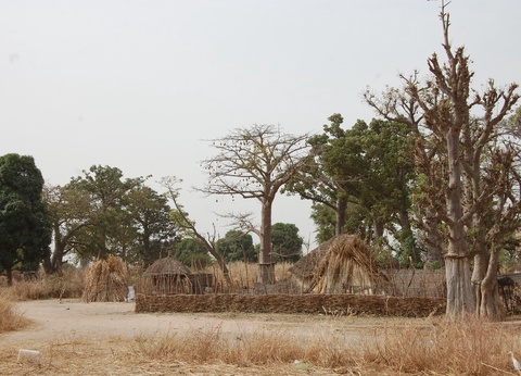 Circuit Privatif Evasion au Sénégal entre Culture et Plage - 23