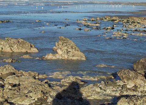 Camping Le Mont Joli Bois, 3* - 41