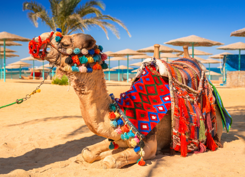 Croisière Des Mystères du Nil en Dahabeya à la Mer Rouge 5* - 22