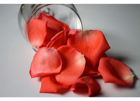 Parenthèse romantique avec bulles et pétales de rose en chambre près de Quimper - 3* - 8