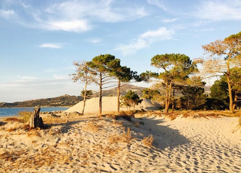 Camping Dolce Vita 3* - 11