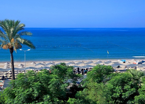 Ôclub Experience Club Cactus Paradise 4* - 13