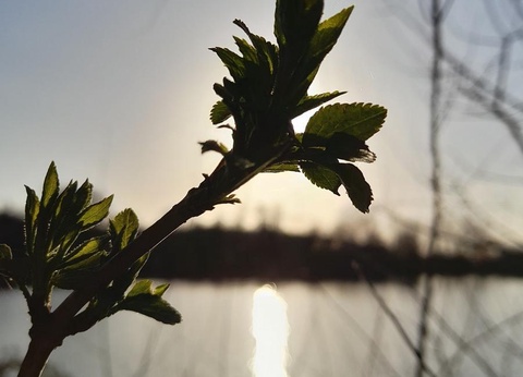 Camping Les Rulières, 3* - 12
