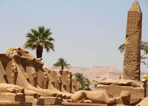 Combiné Papyrus et Pyramides d'Egypte - 5