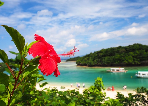 Paradis Japonais: Tokyo, Kyoto, Osaka et plages d'Okinawa en 3* ou 4* - 17