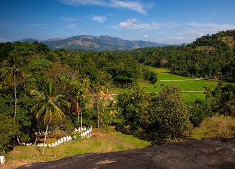 Circuit Ceylan Intimiste et extension Maldives - 7