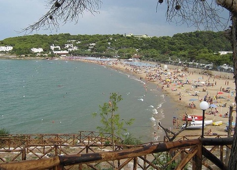 Camping Internazionale Manacore, 4* - 33
