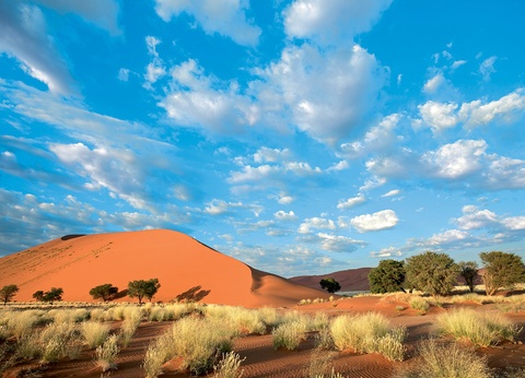 Circuit Visage de Namibie - 6