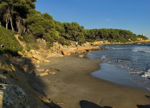 Camping Estival Torre de la Mora, 5* - 41