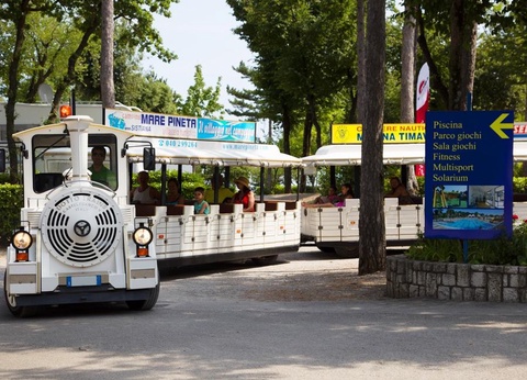 Camping Mare Pineta, 4* - 27