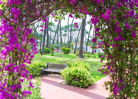 Hôtel Club Framissima AluaSun Marbella Park 4* - 19