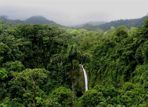 Road Trip Nature & Farniente au Costa Rica - 3