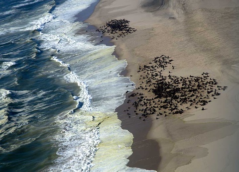 Circuit Trésors d'Afrique australe - 9