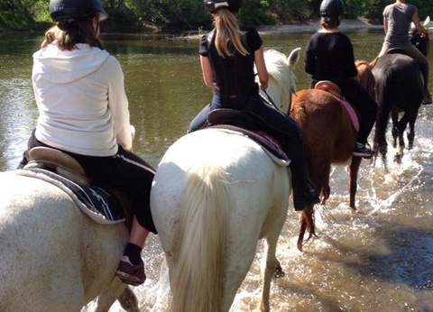 Camping Bel Air, 3* - 13