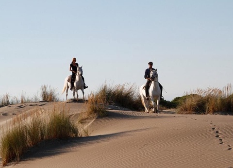 Camping Abri de Camargue, 4* - 42