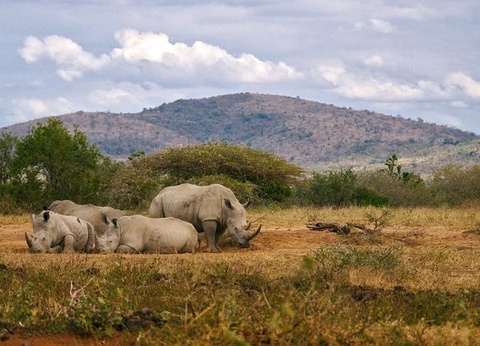 Circuit Splendeurs d'Afrique du Sud et Eswatini - 8