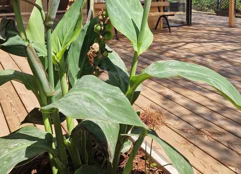 OFFRE CHOC- Camping La Pierre Verte, 4* - 32