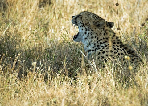 Hôtel Severin Sea Lodge 4* - 17