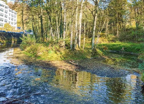 Séjour dans les Ardennes avec diner + wellness + piscine - 3* - 21