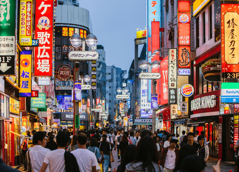 Circuit Capitales Nippones en Liberté, de Kyoto à Tokyo 3* et Ryokan - 10