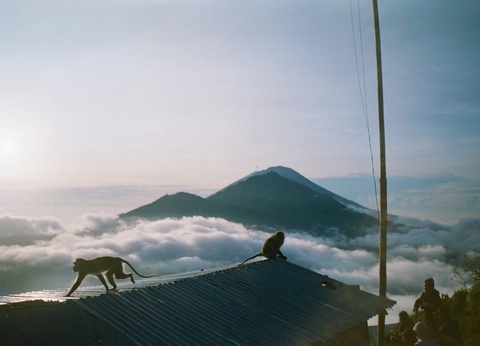 Circuit Aventure indonésienne : immersion à Java et Bali - 5